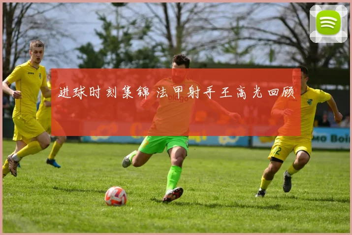 进球时刻集锦 法甲射手王高光回顾